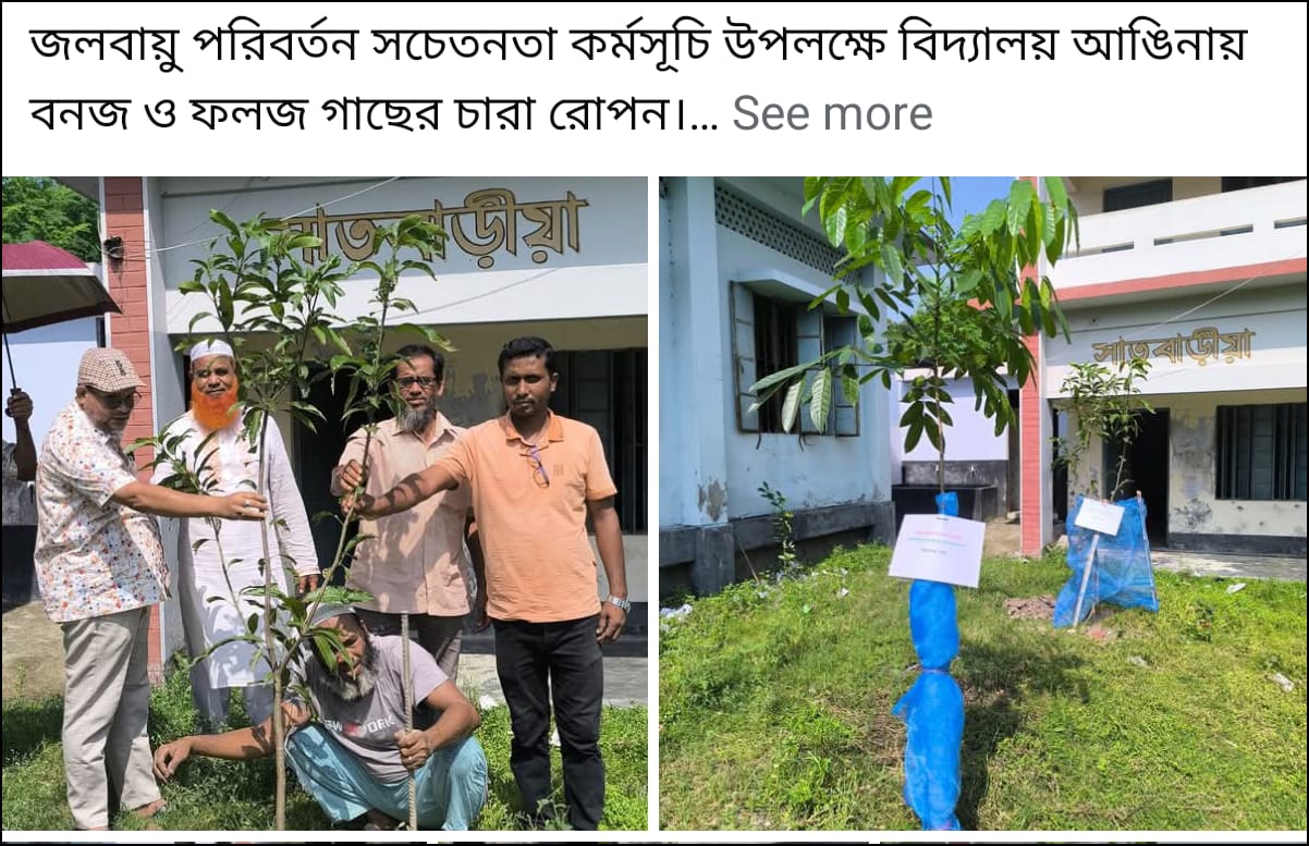 গাছ রোপণ